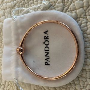 Pandora charm bracelet